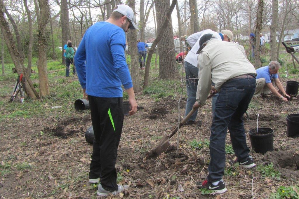 Volunteers planting young trees in a wooded neighborhood site