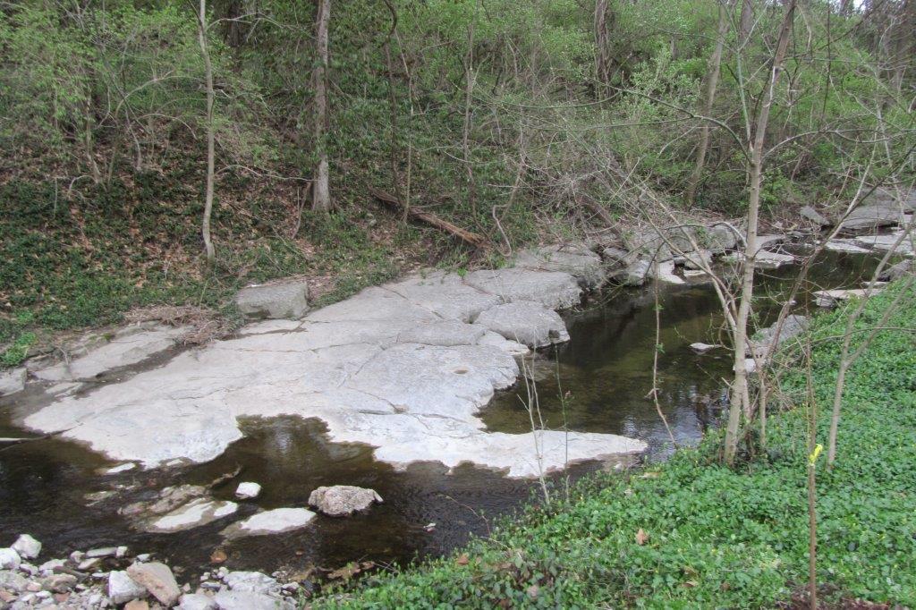 Rocky creek at the tree planting site