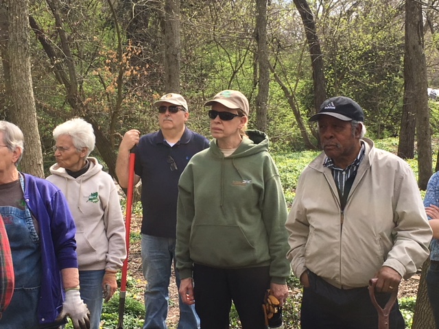 Volunteers gathered with planting tools in the woods
