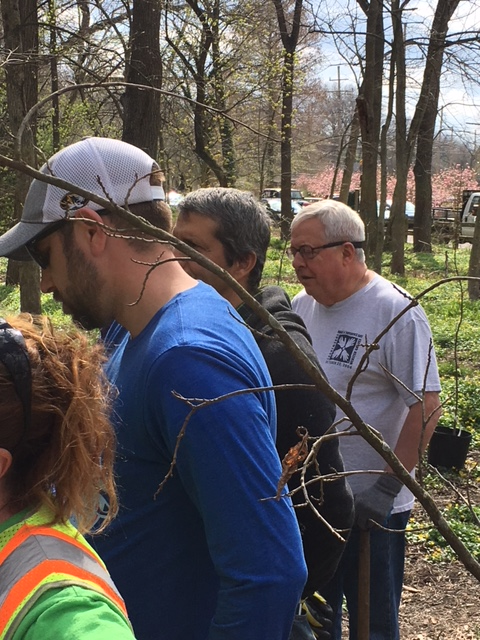 Tree planting participants gathered in the woods