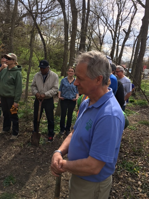 Volunteer in a blue shirt standing with planting participants