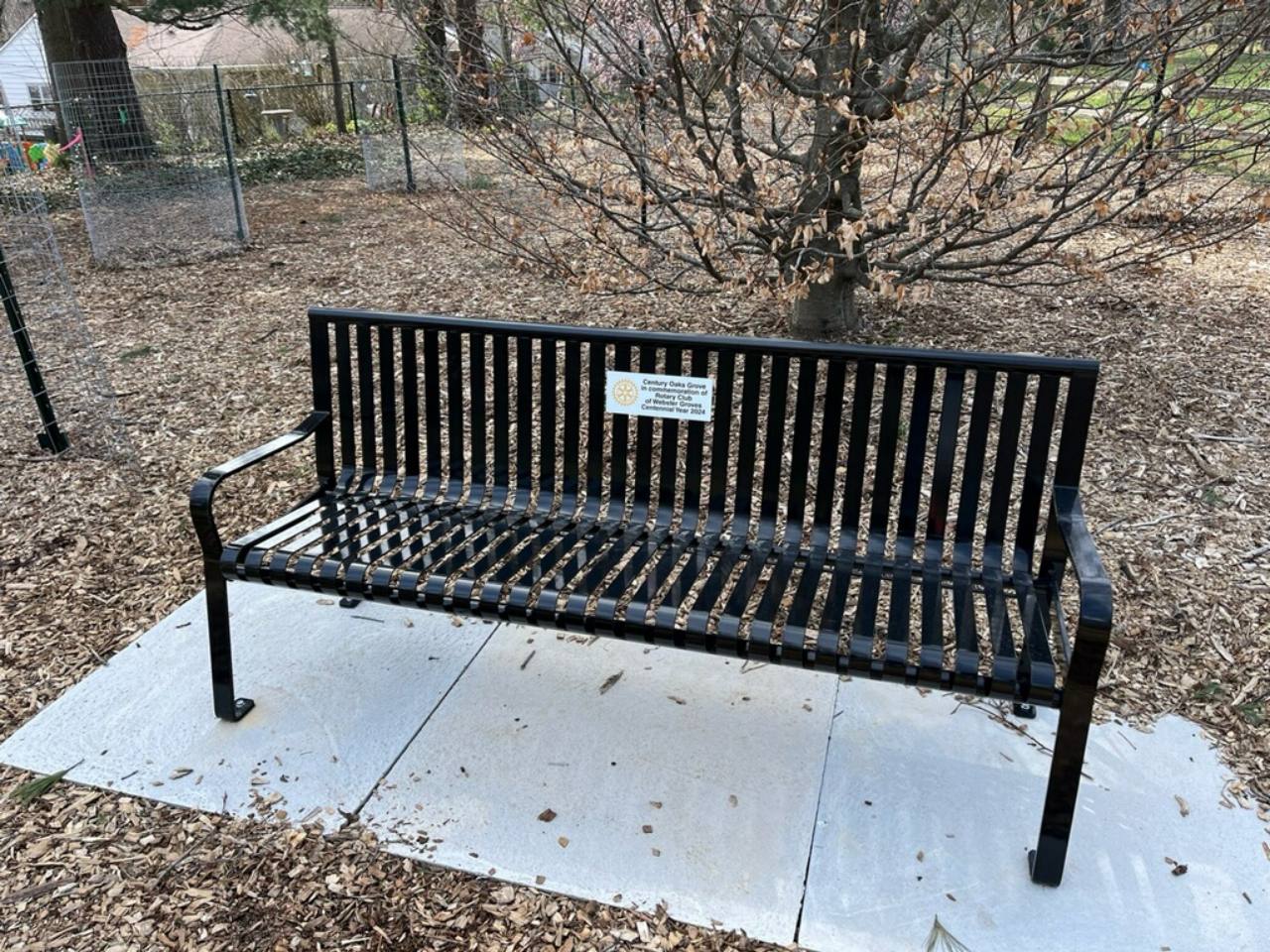 Century Oaks Grove bench beneath an oak tree