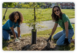 Volunteers planting a tree with Forest ReLeaf