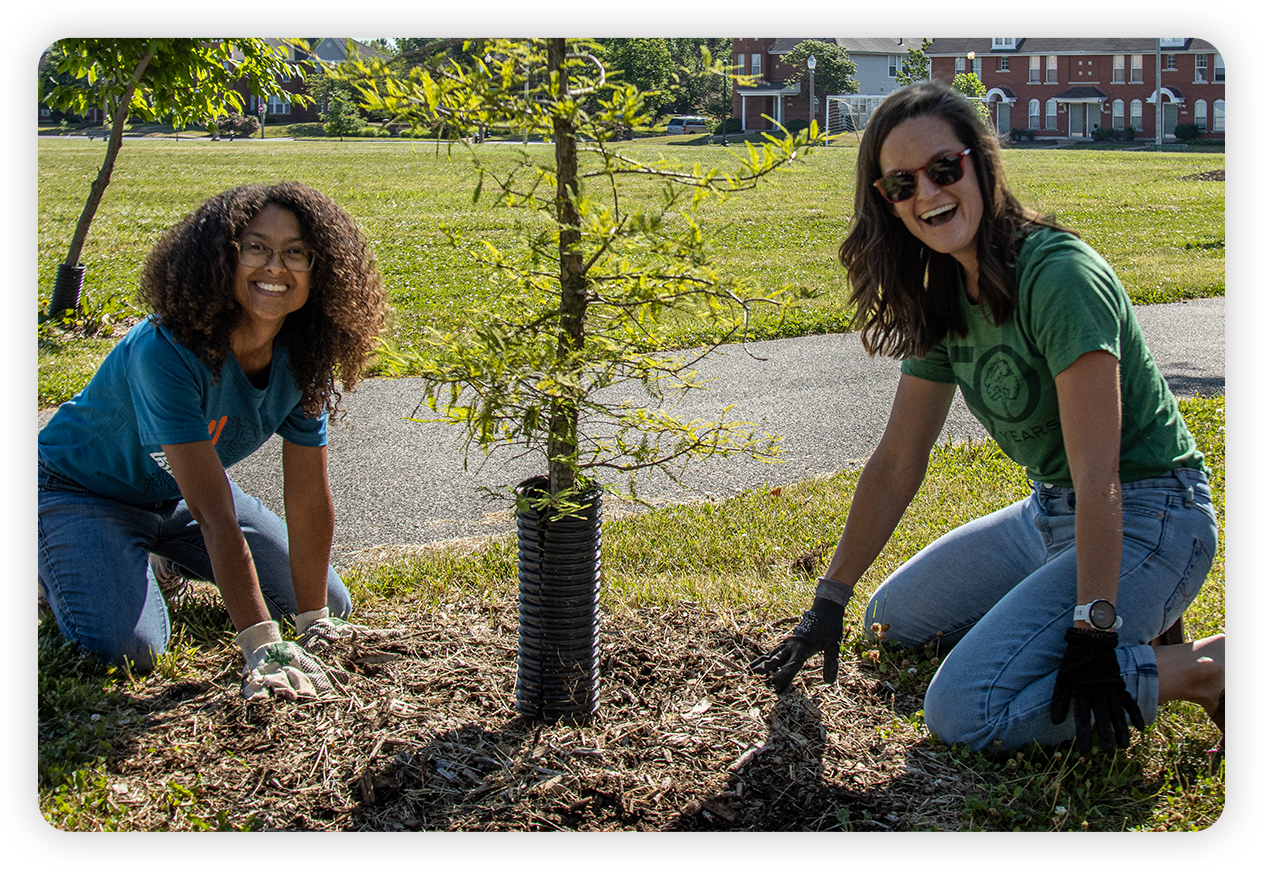 Volunteers planting a tree with Forest ReLeaf