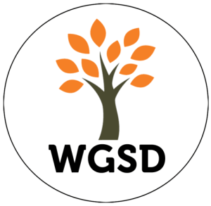 Webster Groves School District values graphic