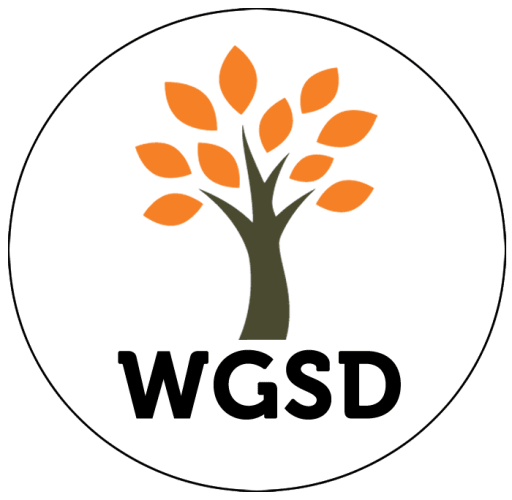 Webster Groves School District values graphic