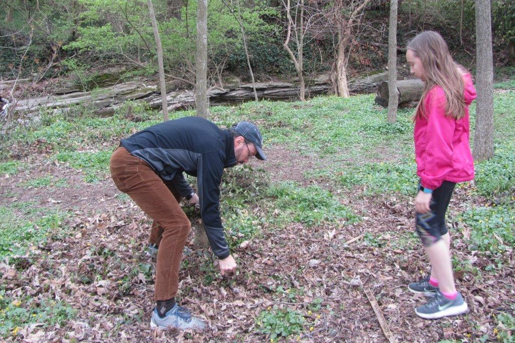 A volunteer and a young helper planting a small tree in a wooded area